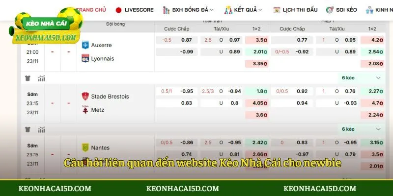 Câu hỏi liên quan đến website Kèo Nhà Cái cho newbie