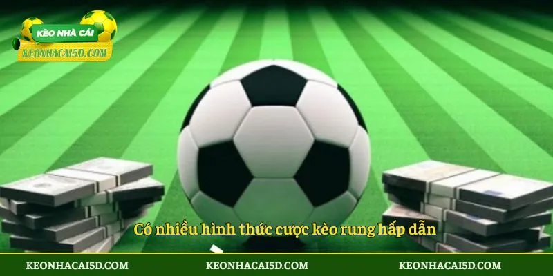 Có nhiều hình thức cược kèo rung hấp dẫn