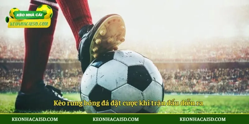 Kèo rung bóng đá đặt cược khi trận đấu diễn ra