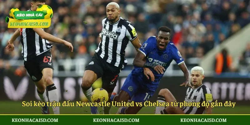 Soi kèo trận đấu Newcastle United vs Chelsea từ phong độ gần đây