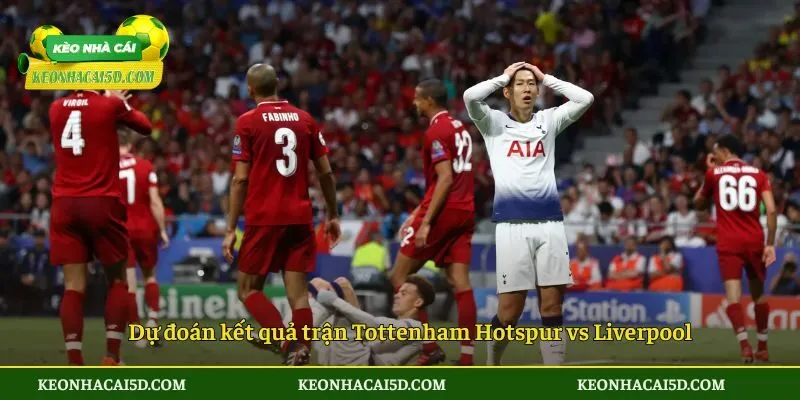 Dự đoán kết quả trận Tottenham Hotspur vs Liverpool lúc 0h30 ngày 21/12/2025